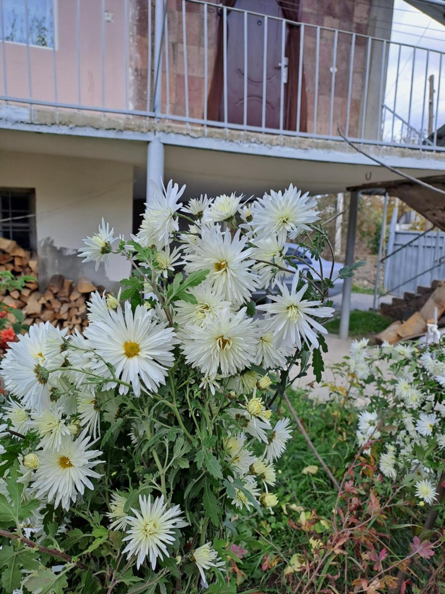 Tamara B&B Dsegh Exterior foto